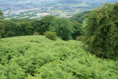 
Hills Tramroad to Llanfoist, top incline from the top, June 2009